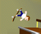 Pro Skater - Спортивные Игра