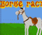 Horse Racin -  Спортивные Игра
