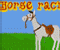 Horse Racin - Спортивные Игра