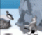 Penguin Swing - Стратегии Игра