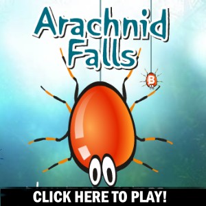 Arachnid Falls - Экшен Игра